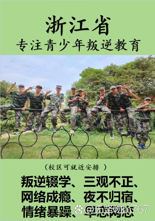 嘉興市叛逆青少年教育與成長問題 教育管理的挑戰與對策